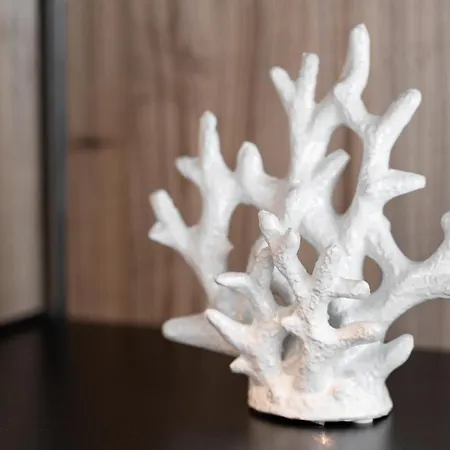 Axel Baltic Jacuzzi & Sauna Adults Only 게스트하우스 미엥지즈드로예